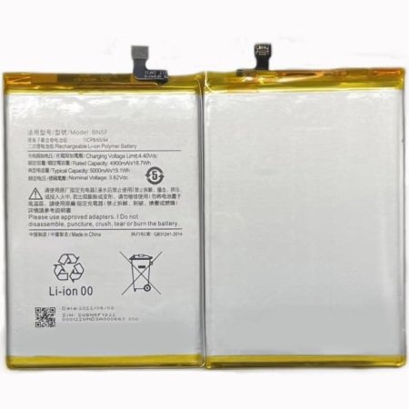 BATERIA INTERNA PARA RM 10C (BN5F)